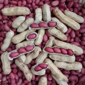 Sell High quality Newly Produced Red