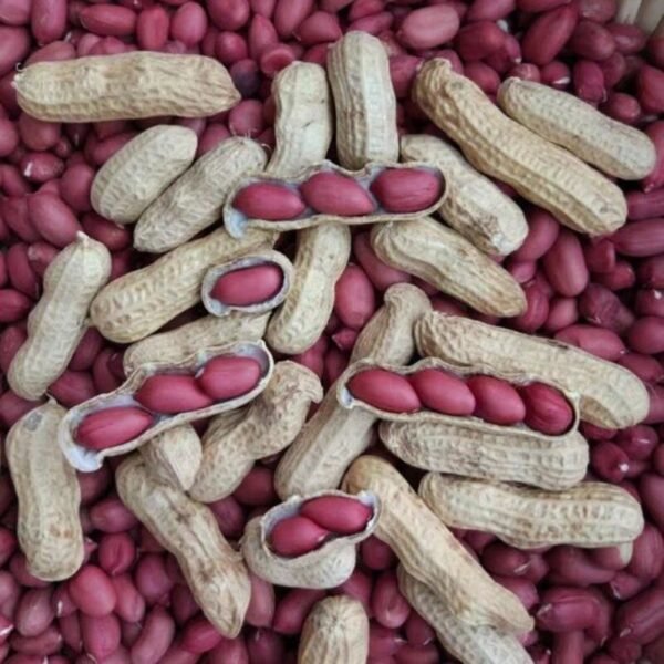 Sell High quality Newly Produced Red