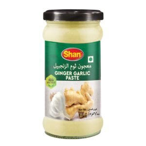 Shan Ginger Galic Paste 700g – Wholesale & Export UAE - wholesale supplier | AgroFoods Global