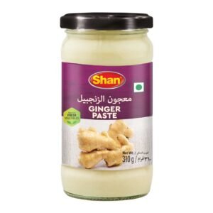 Shan Ginger Paste 310g – Wholesale & Export UAE - wholesale supplier | AgroFoods Global