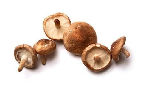 Shitake Mushroom — premium quality
