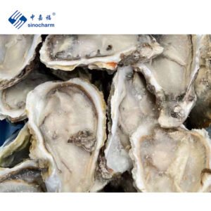 Sinocharm Frozen Seafood Half Shell Oyster