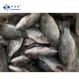 Sinocharm IQF Black Fish Supplier Per