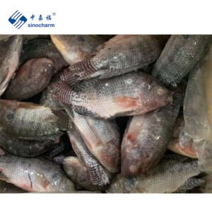 Sinocharm Tilapia Niloticus Frozen Fish Cleaned