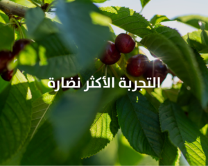 Spinneys — premium quality