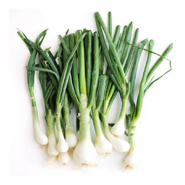 Spring Onion Lebanon 500g Spring Onion Lebanon 500g — premium quality