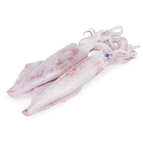 Squid Koonthal Cutter Fish Cleaned 500g Squid Koonthal Cutter Fish Cleaned 500g — premium quality