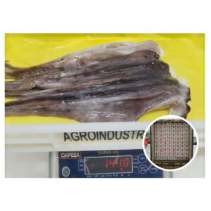 Stock Available Frozen Giant Squid Tentacles
