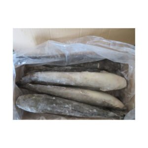 Stock Wholesale Ikan Fresh Catfish Export