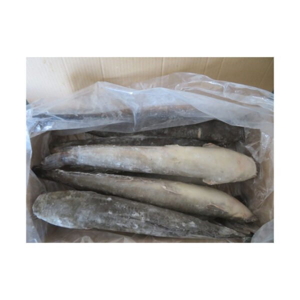 Stock Wholesale Ikan Fresh Catfish Export