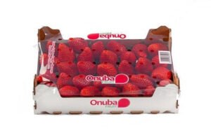 Strawberry 1kg Case — premium quality