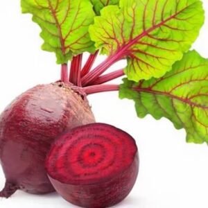 Sugar Beet