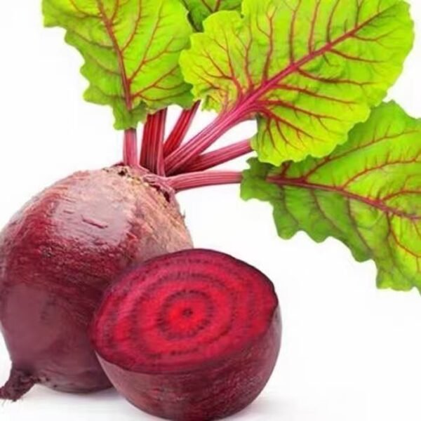 Sugar Beet