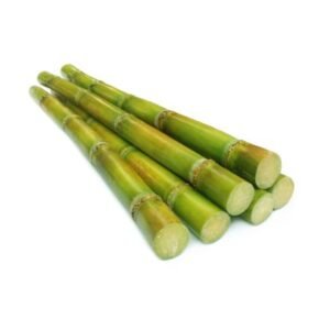 Sugarcane — premium quality