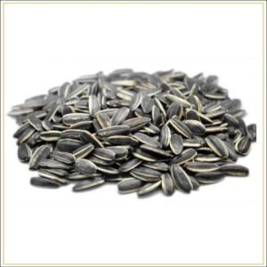 Sunflower Seeds — premium quality