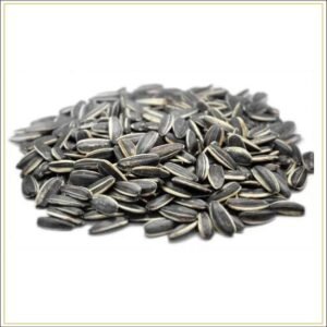 Sunflower Seeds Ndash The Nuts Supermarket Llc — premium quality