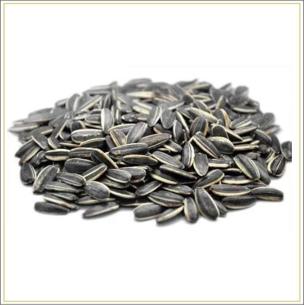 Sunflower Seeds Ndash The Nuts Supermarket Llc Sunflower Seeds Ndash The Nuts Supermarket Llc — premium quality