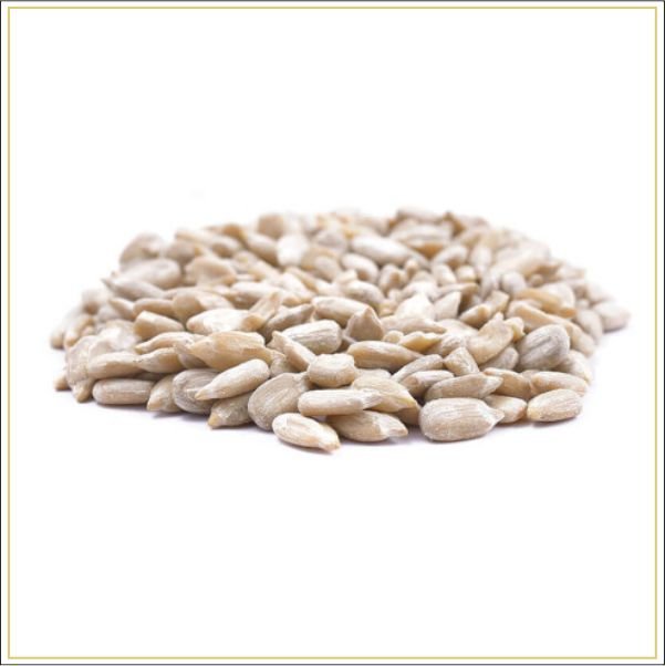 Sunflower Seeds Without Shell Ndash The Nuts Supermarket Llc Sunflower Seeds Without Shell Ndash The Nuts Supermarket Llc — premium quality