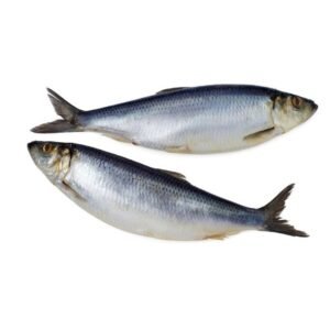Super Herring Wholesale Price 200 300G