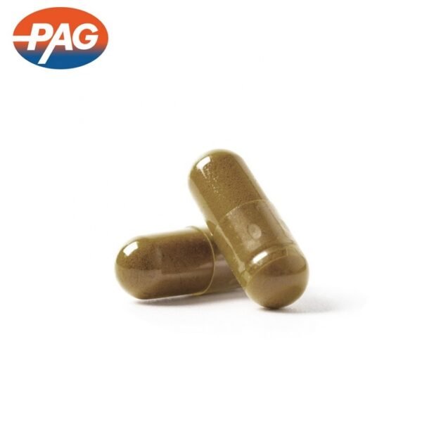 Supplement Manufacturer Helps Regularity Digestion Capsules