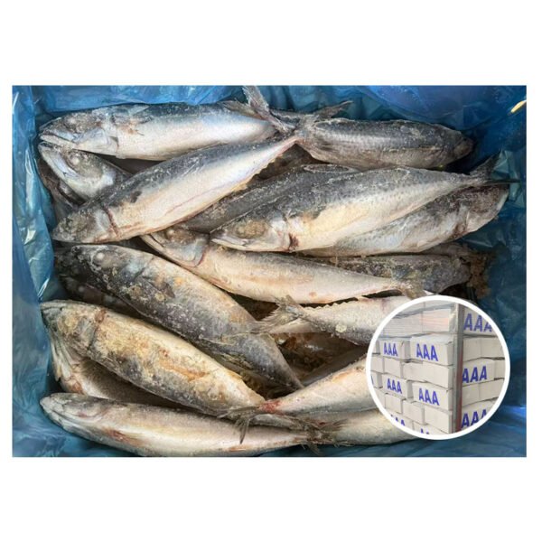 Supply 250 400g Best Fat Content