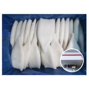 Supply Good Quality Giant Squid Tube