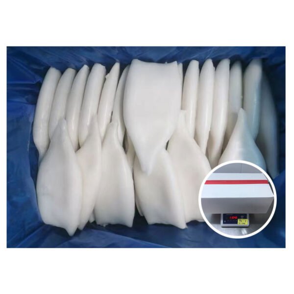Supply Good Quality Giant Squid Tube