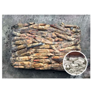 Supply Good Quality Seafood 50 100G