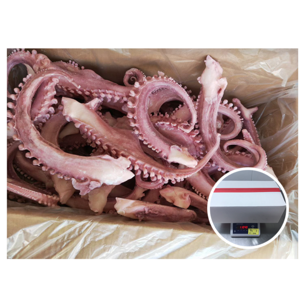 Supply High Quality Seafoods Customized Squid