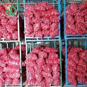 Supply Holland Onions New Crop Red