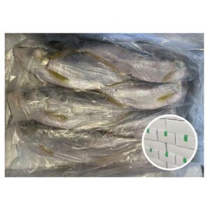 Supply Katti Fish Slender Shad Fish