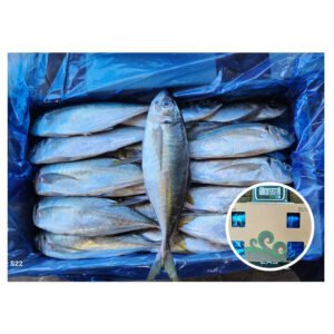 Supply Korea Origin Horse Mackerel Fish