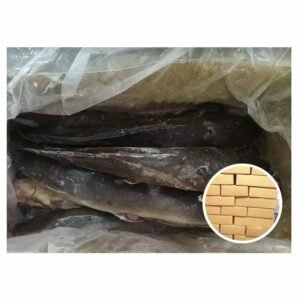 Supplying Africa Market Farming Catfish Clarius