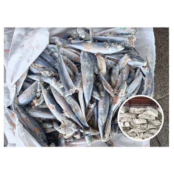 Supplying Seafood Fishes 30 80g Mackerel