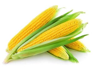 Sweet Corn 600g — premium quality