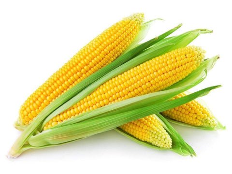 Sweet Corn 600g Sweet Corn 600g — premium quality