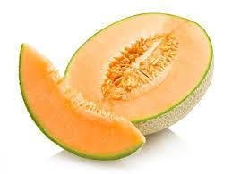 Sweet Rock Melon — premium quality