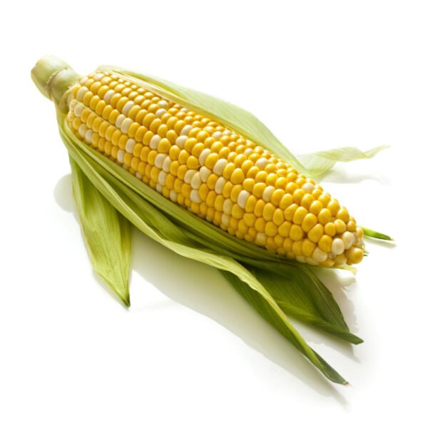 Sweetcorn UAE 1 kg Sweetcorn UAE 1 kg — premium quality