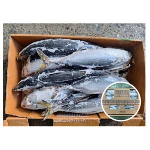 Taiwan Origin Mackerel Fish 500 700g
