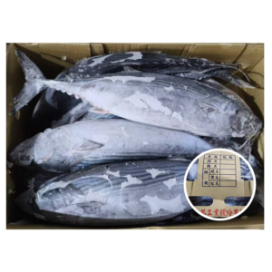Taiwan Origin Seafood 1 3KG Frozen