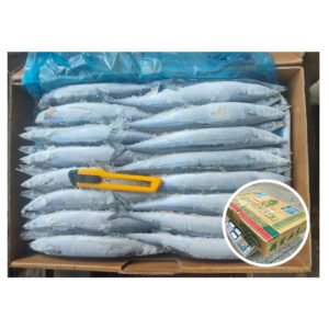 Taiwan Original Arrival New Fish Cololnbis
