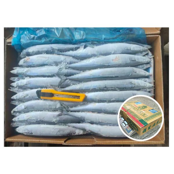 Taiwan Original Arrival New Fish Cololnbis