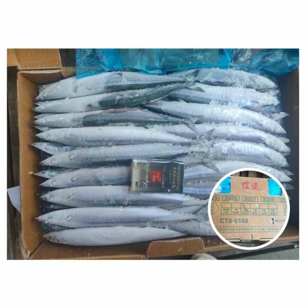 Taiwan Original Fish Cololabis Saira Canned