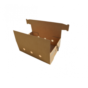 Tapeless Closure Cartons with Vent Holes