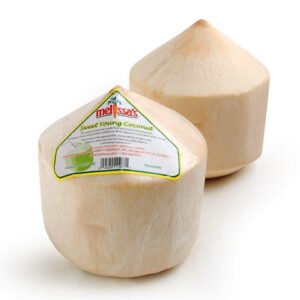 Tender Quot Young Quot Coconut — premium quality