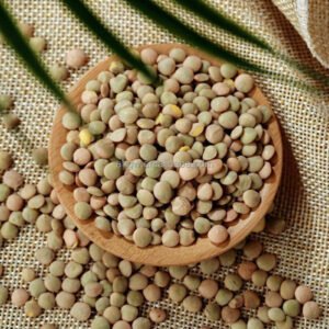 The Factory Sells Pure Natural Green