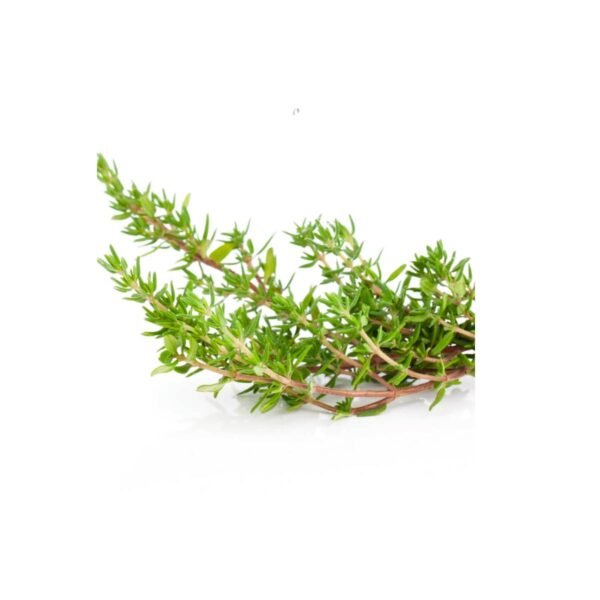 Thyme Kenya 50g Pack Thyme Kenya 50g Pack — premium quality
