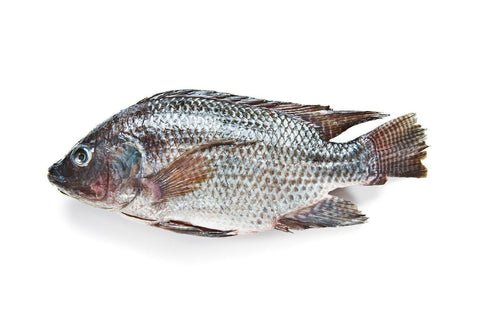 Tilapia Boulty Whole Cleaned 500g Tilapia Boulty Whole Cleaned 500g — premium quality
