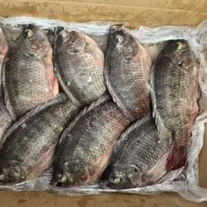 Tilapia Factory 300 500G 500 800G