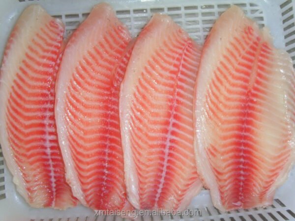 Tilapia Fillet Frozen Fresh Water Farm